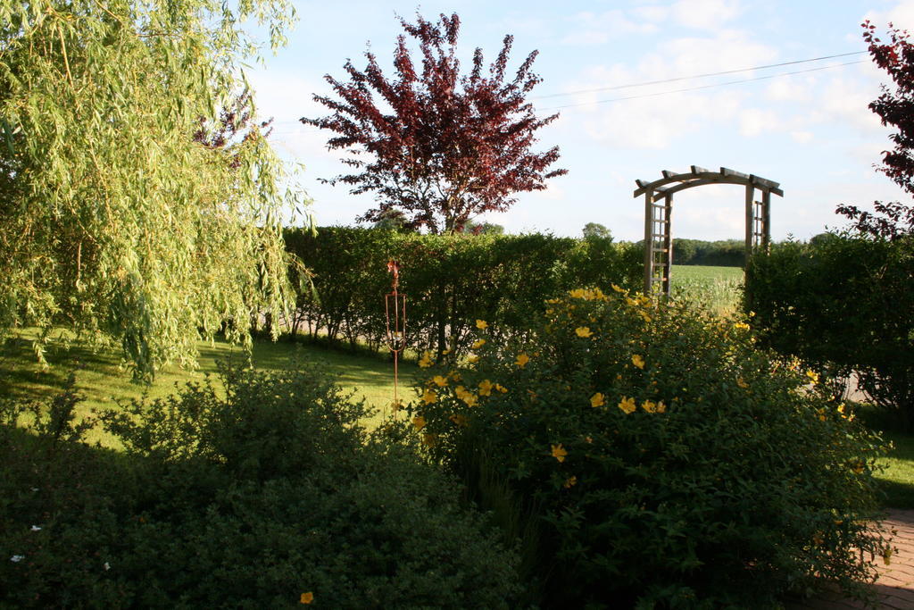 Herbages De Beauvais Orgeres-la-Roche Luaran gambar
